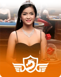 dg casino demo